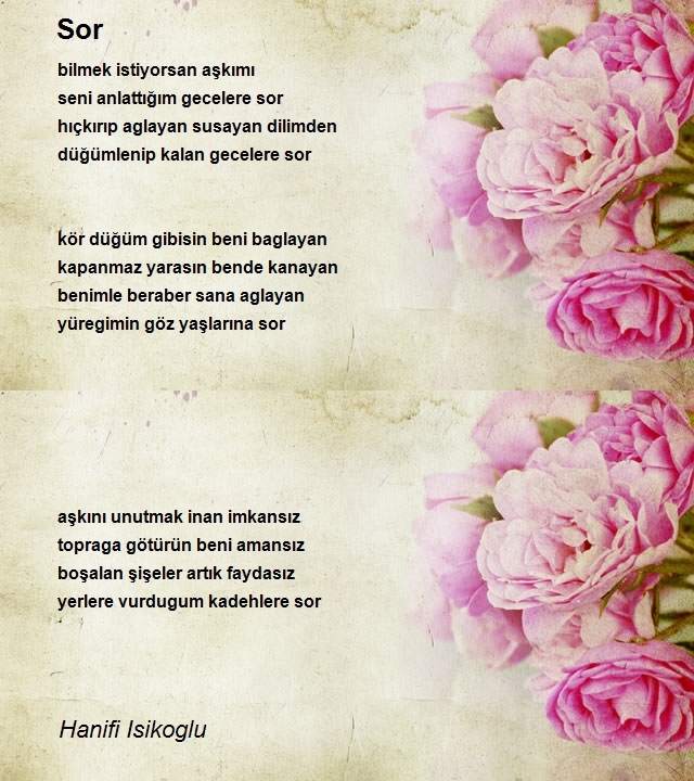 Hanifi Isikoglu