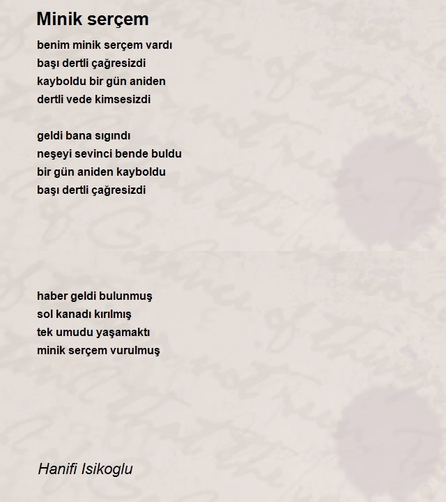 Hanifi Isikoglu