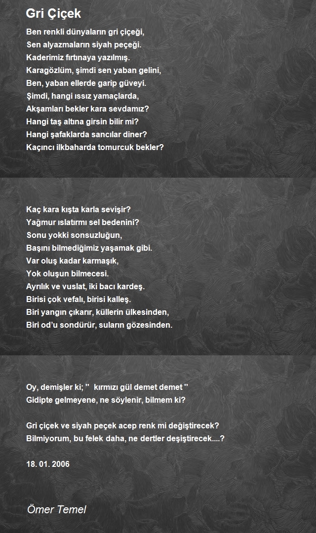Ömer Temel