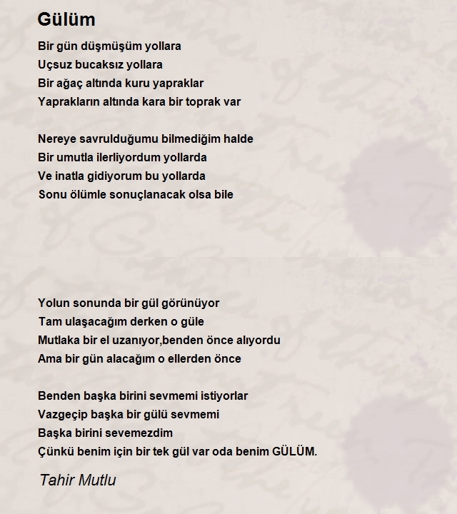 Tahir Mutlu