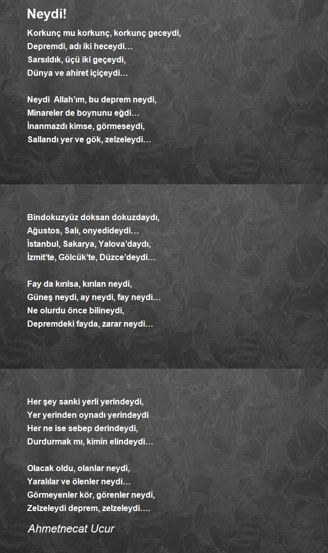 Ahmetnecat Ucur