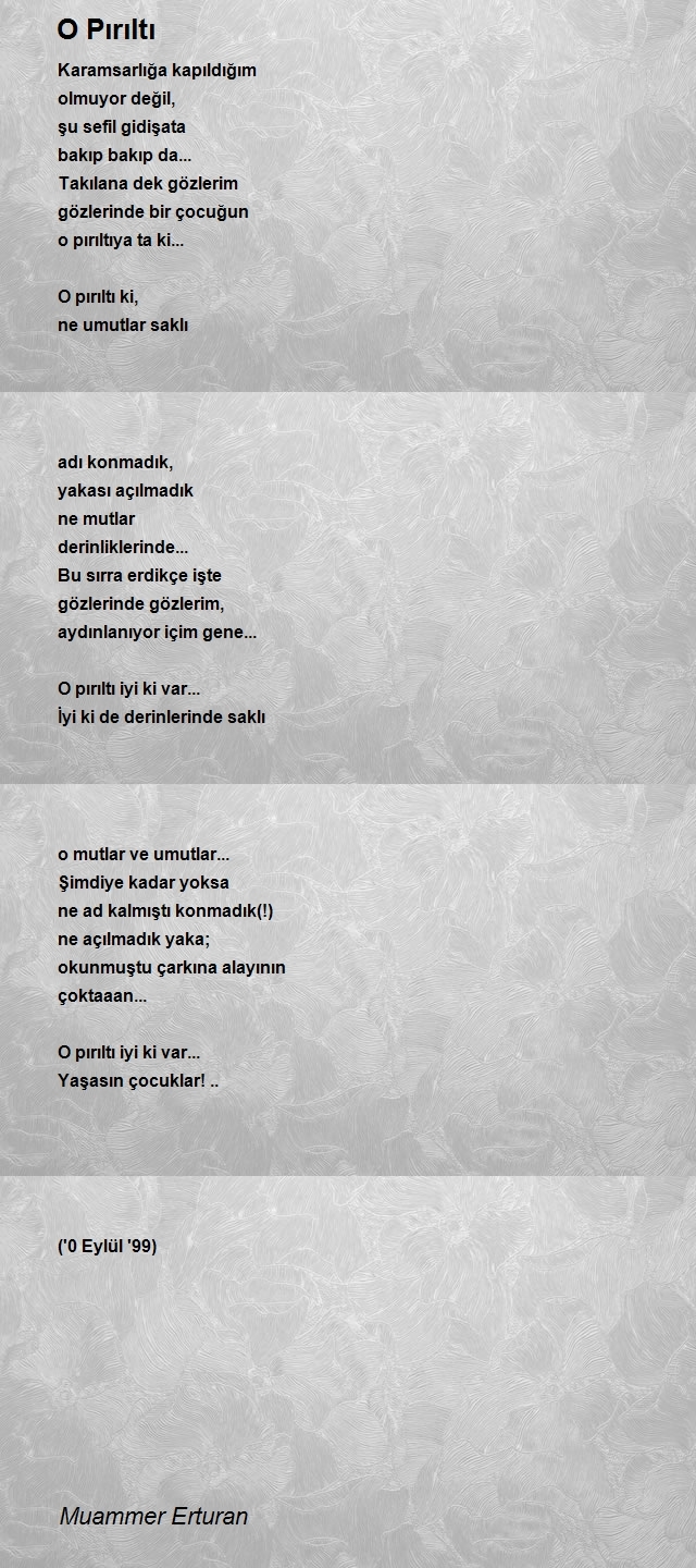 Muammer Erturan