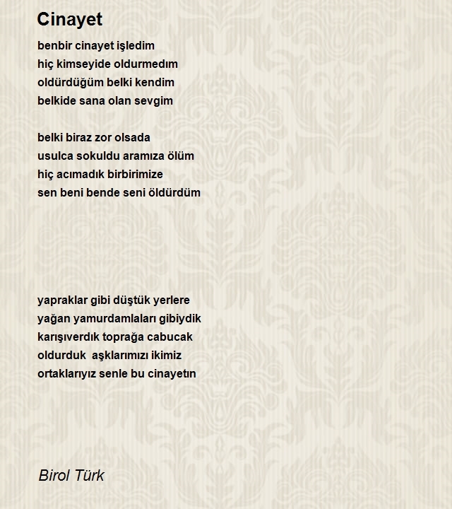 Birol Türk