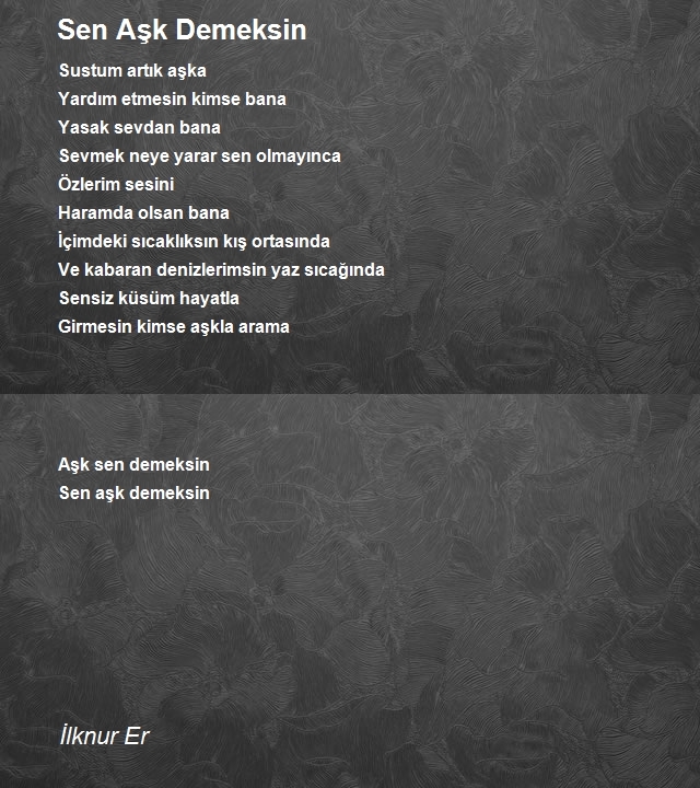 İlknur Er