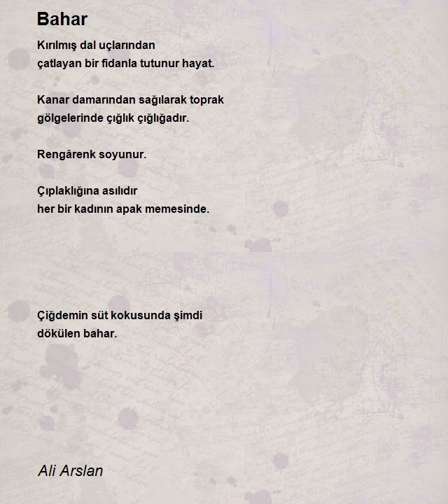 Ali Arslan