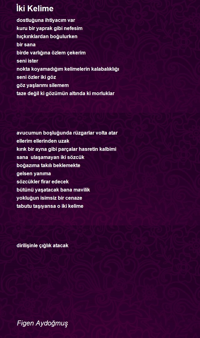 Figen Aydoğmuş