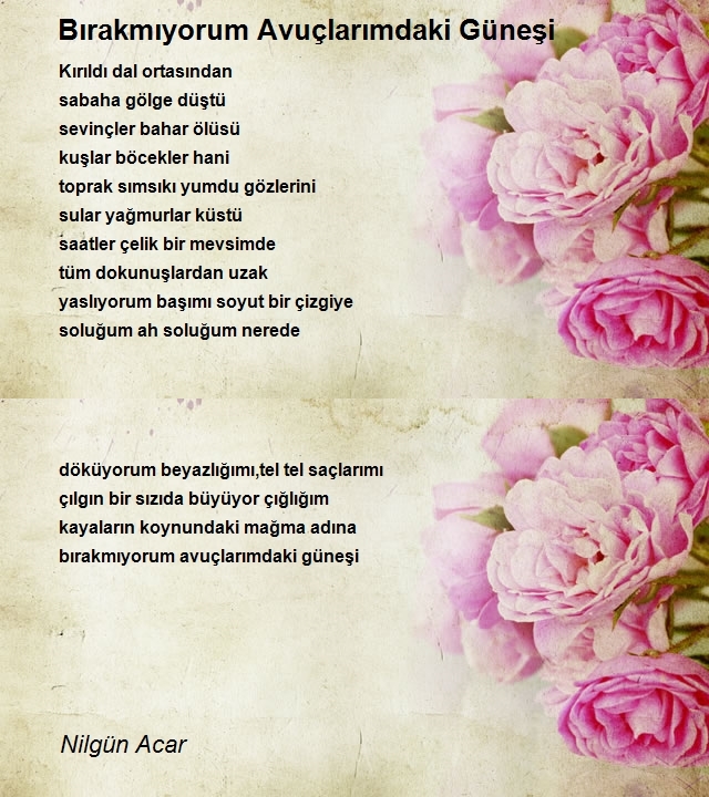 Nilgün Acar