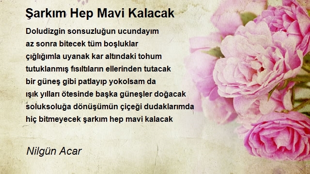 Nilgün Acar
