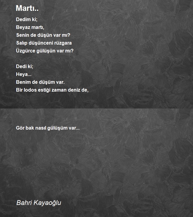 Bahri Kayaoğlu