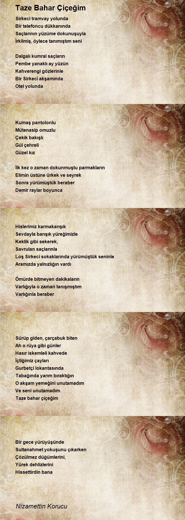 Nizamettin Korucu