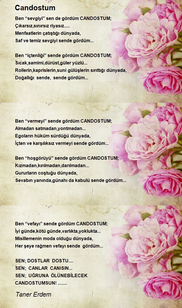 Taner Erdem