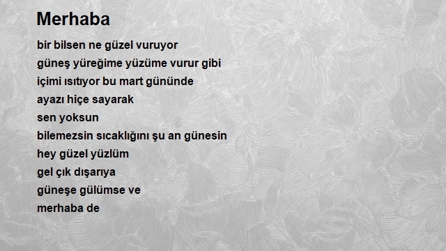 Baran Demir