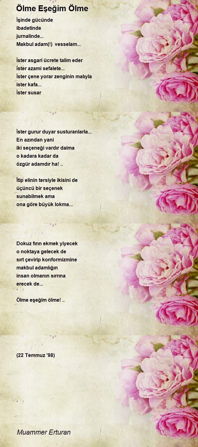 Muammer Erturan