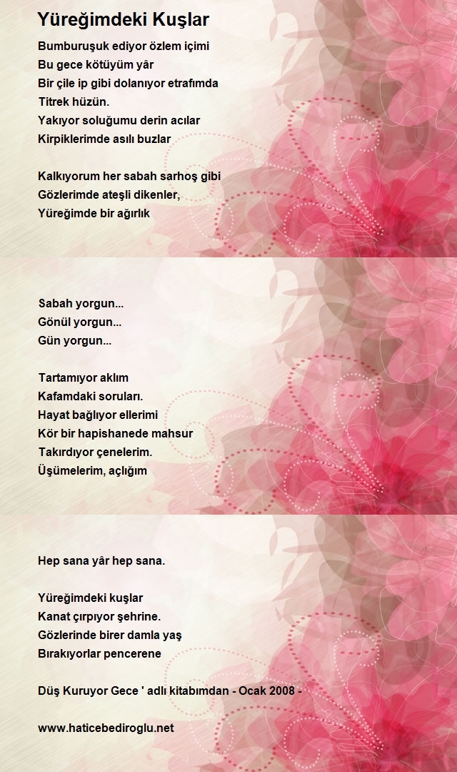 Hatice Bediroğlu