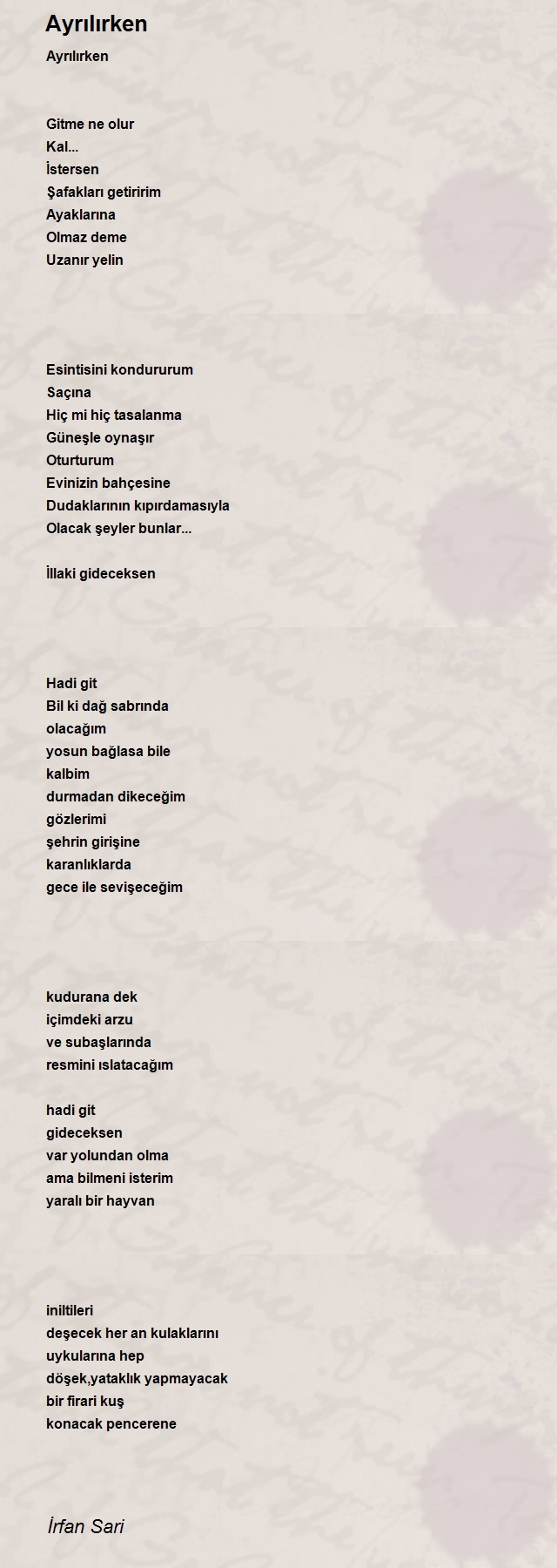 İrfan Sari 2