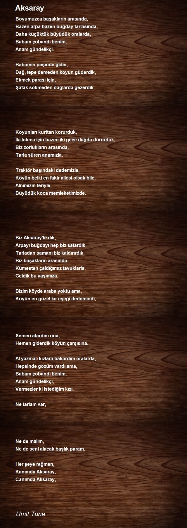 Ümit Tuna