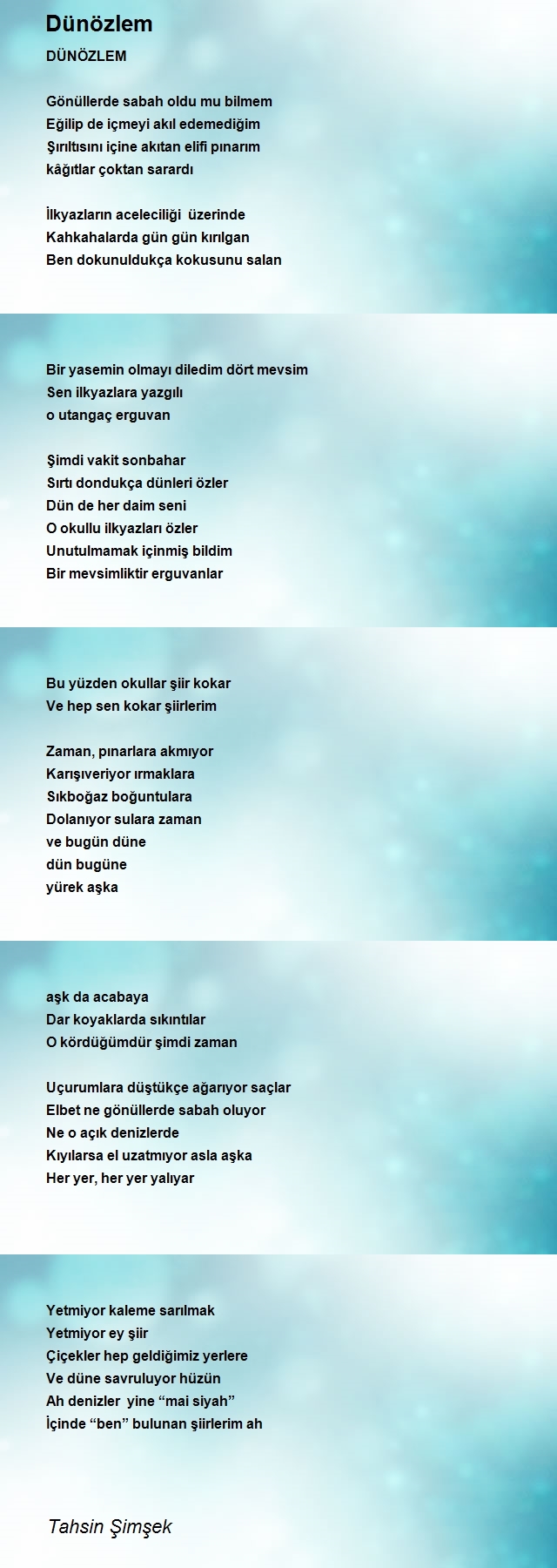 Tahsin Şimşek