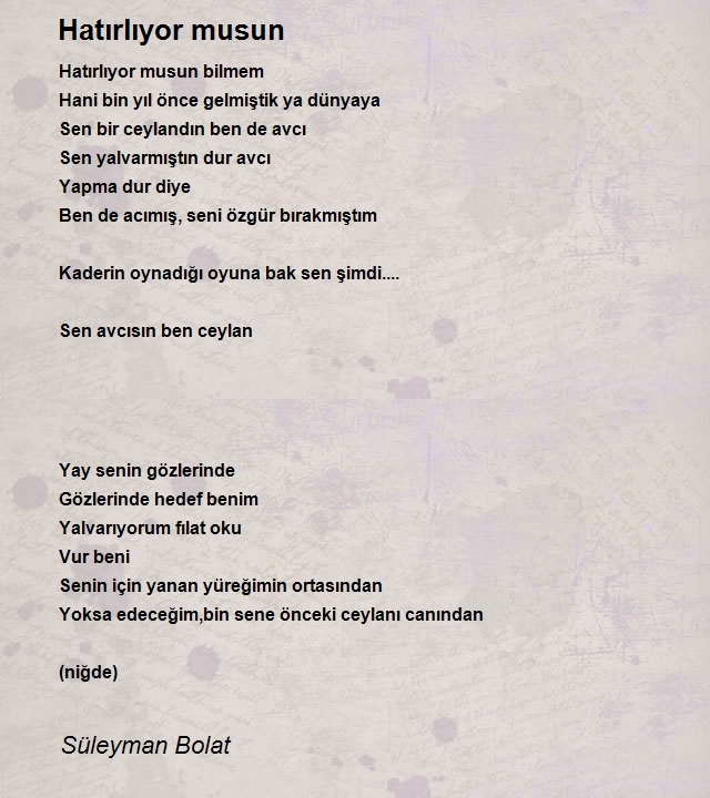 Süleyman Bolat