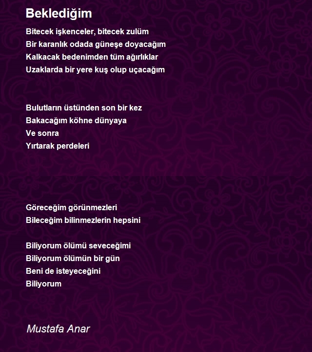 Mustafa Anar