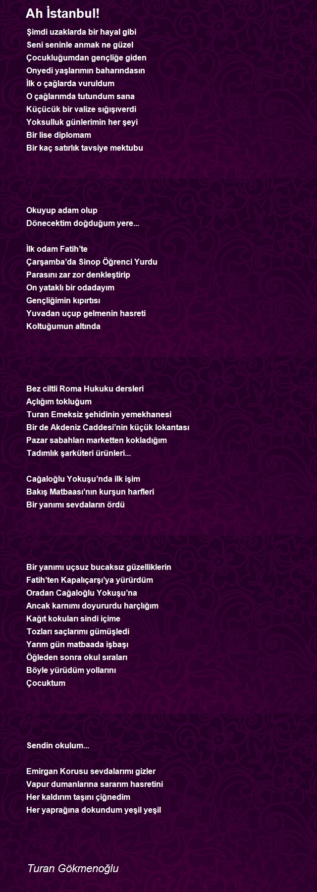 Turan Gökmenoğlu