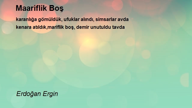 Erdoğan Ergin