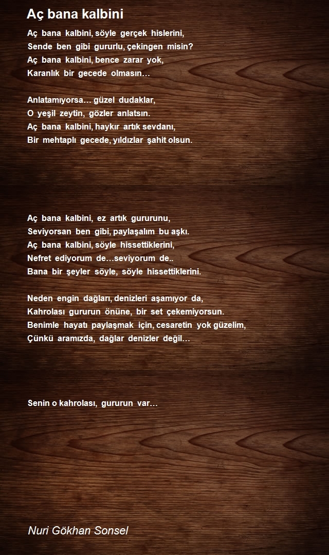 Nuri Gökhan Sonsel