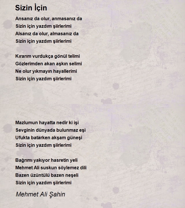 Mehmet Ali Şahin