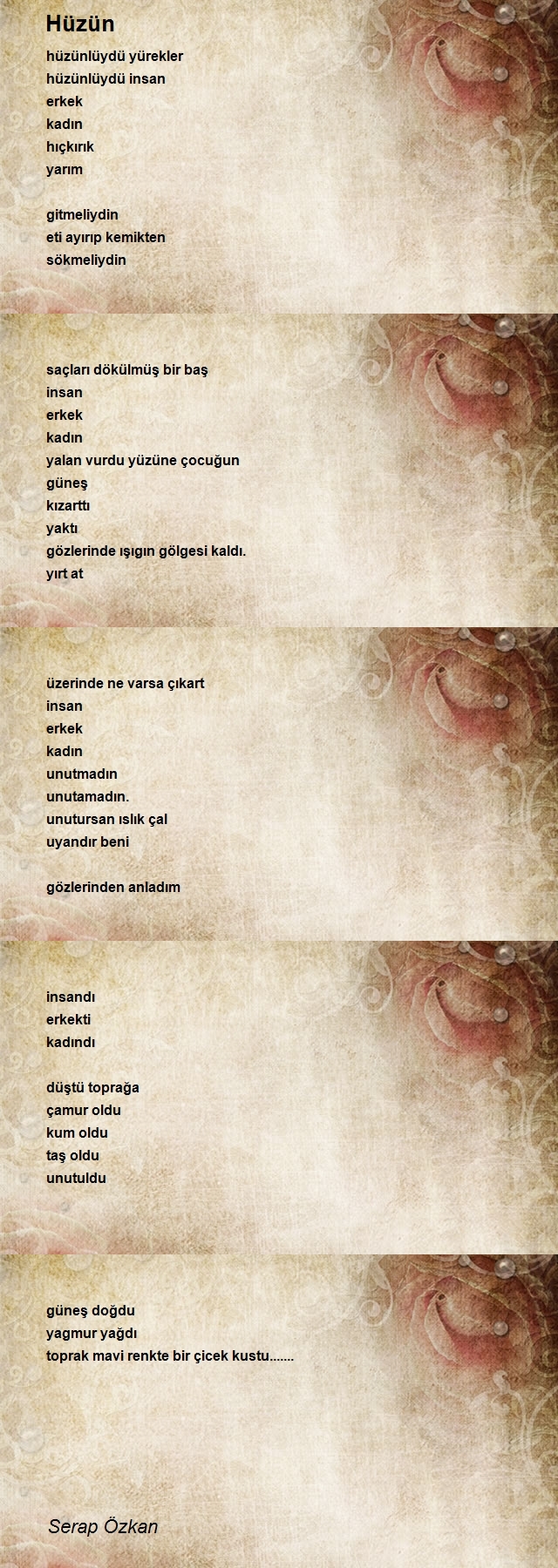 Serap Özkan