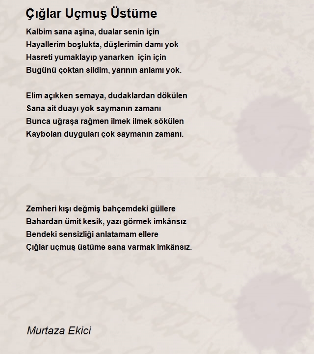 Murtaza Ekici