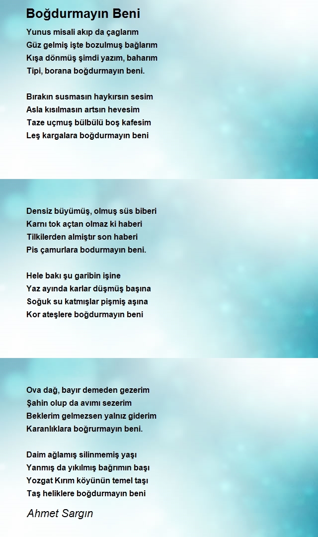 Ahmet Sargın