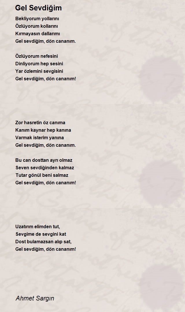 Ahmet Sargın