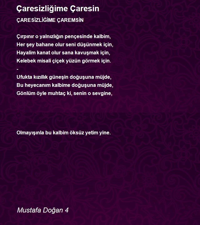 Mustafa Doğan 4