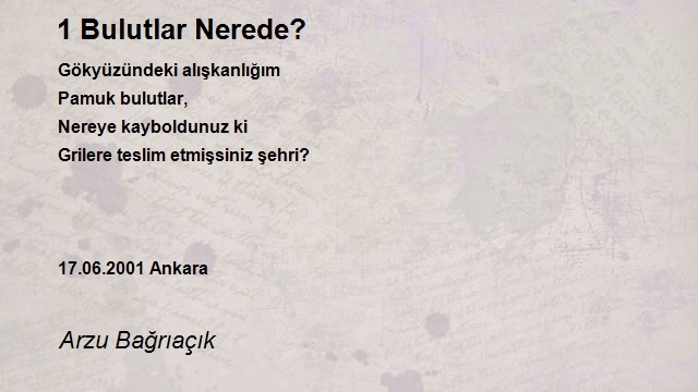 Arzu Bağrıaçık