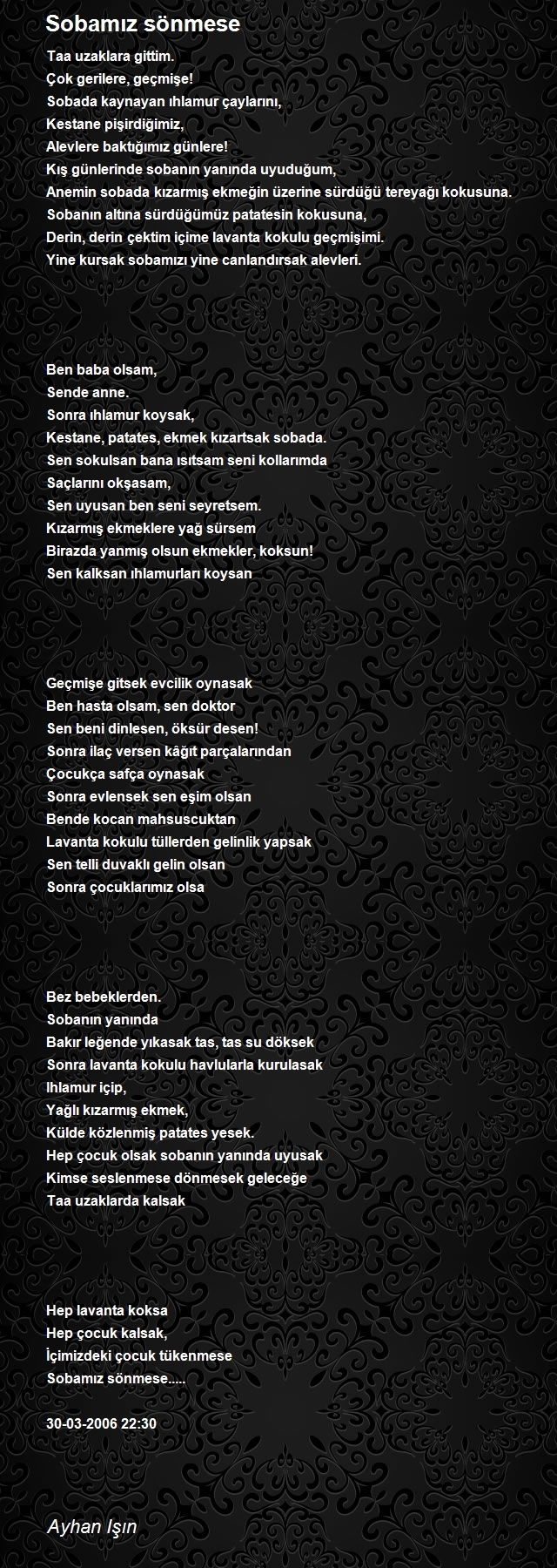 Ayhan Işın