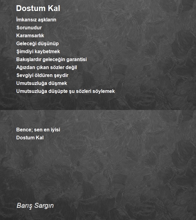 Barış Sargın