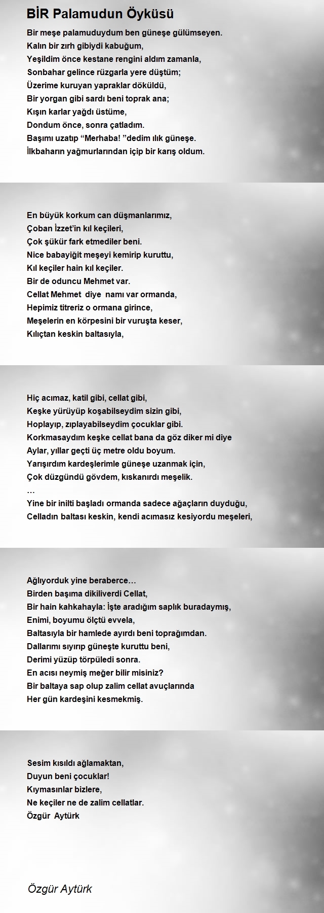 Özgür Aytürk