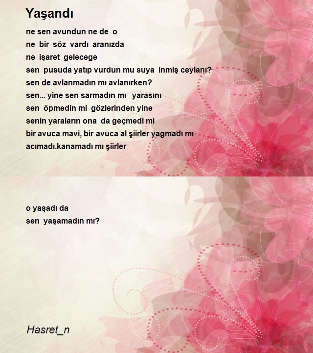 Şair Hasret_n