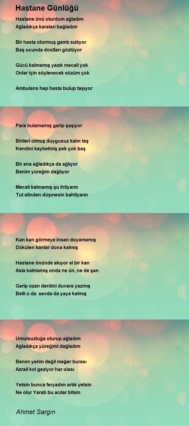 Ahmet Sargın