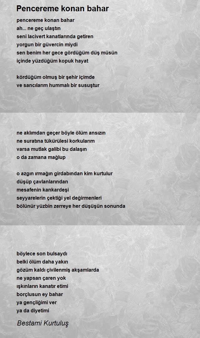 Bestami Kurtuluş