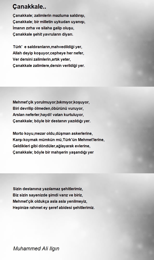Muhammed Ali Ilgın