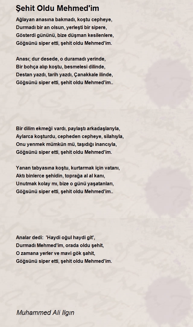 Muhammed Ali Ilgın