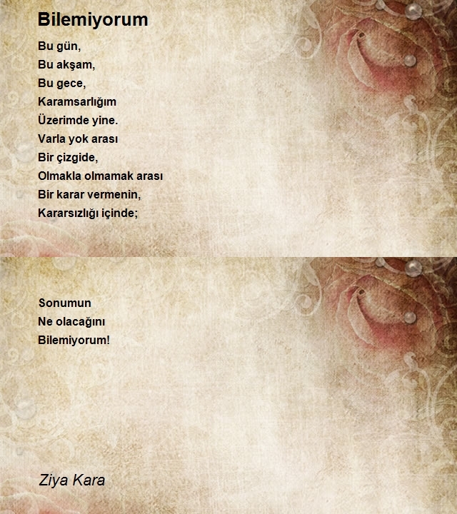Ziya Kara