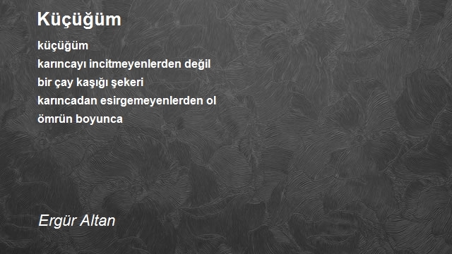 Ergür Altan 