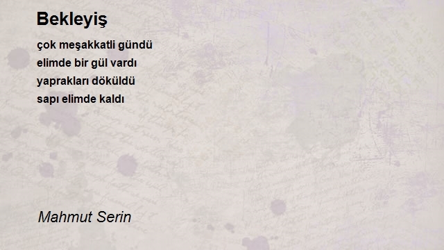 Mahmut Serin