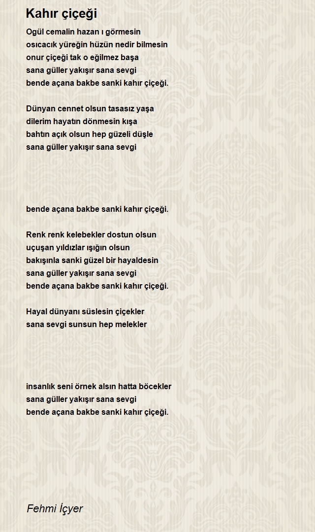 Fehmi İçyer
