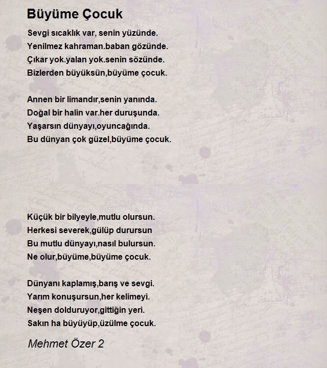 Mehmet Özer 2