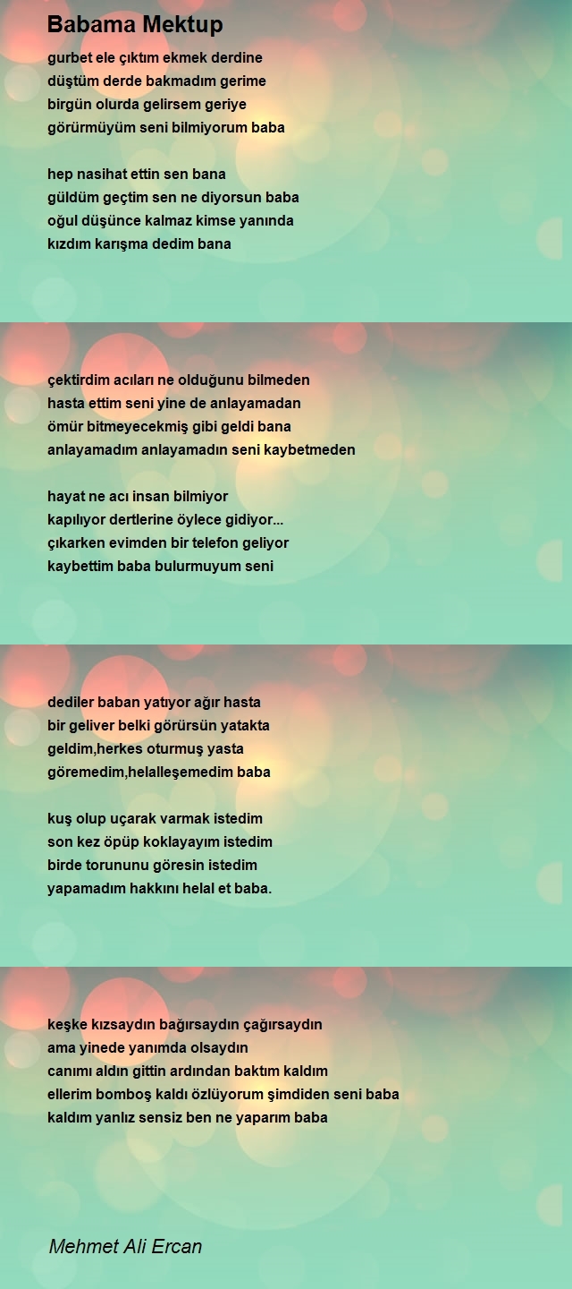 Mehmet Ali Ercan