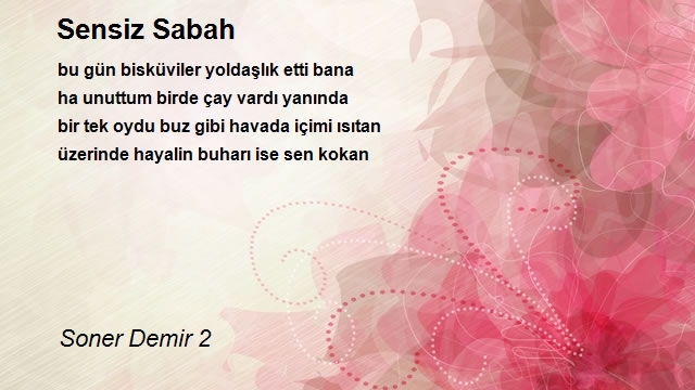 Soner Demir 2