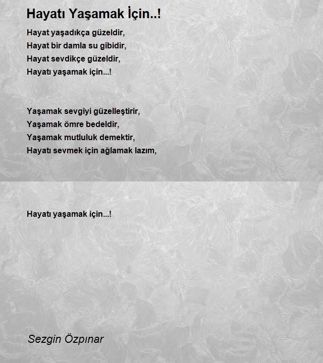 Sezgin Özpınar