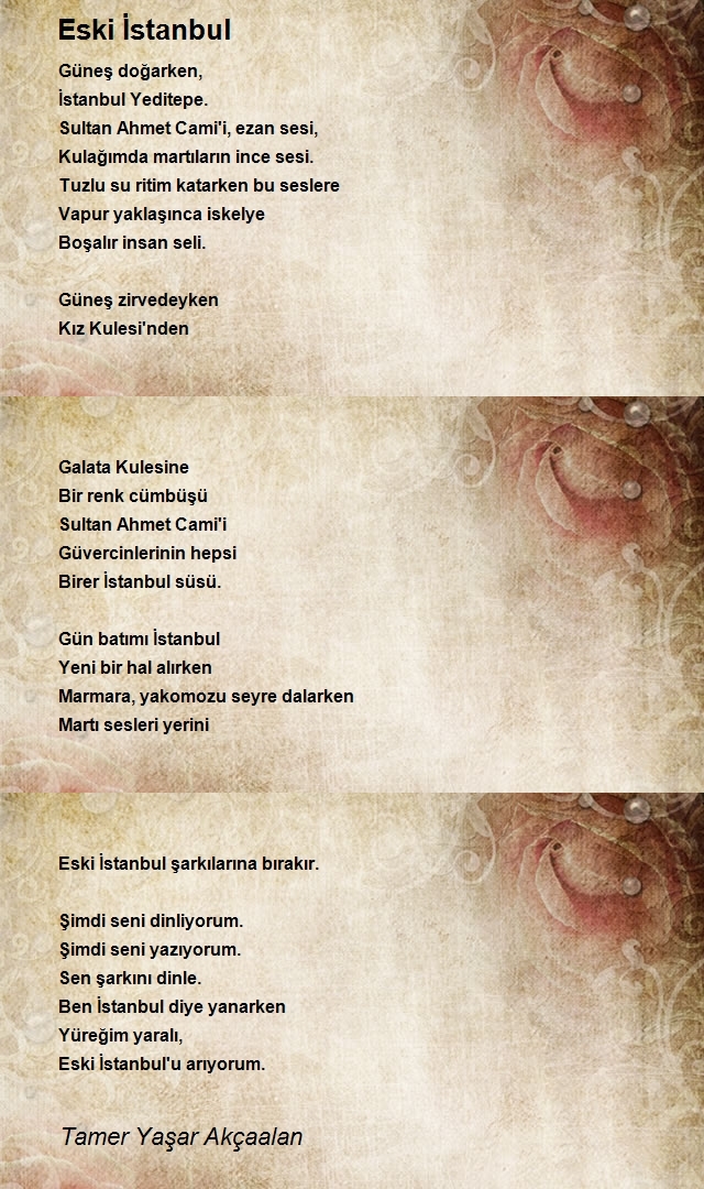 Tamer Yaşar Akçaalan
